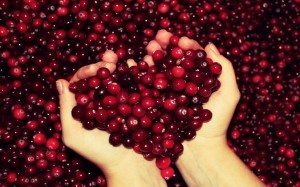 cranberry_heart